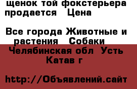 щенок той-фокстерьера продается › Цена ­ 25 000 - Все города Животные и растения » Собаки   . Челябинская обл.,Усть-Катав г.